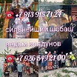 Гадание Гадалка приворот Экстрасенс Ясновидящая
500 ₽ за услугу

Меня зовут Наталья Викторовна.  У меня особый дар — ясновидение,  экстрасенсорная способность,  и многие называют меня магом и прови ...