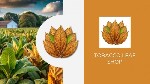 Шукаєте 100% натуральний листовий тютюн? Ласкаво просимо до Tobacco Leaf Shop — вашого надійного постачальника тютюнової сировини,  який поєднує якість,  зручність і доступність.  

Чому варто обрат ...