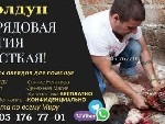 +7(905) 176 77 01
Писать на Viber WhatsApp

Я гарантирую полную безопасность и анонимность.  

Мои способности не ограничены стандартными приворотами и чистками,  я предложу один из десятков обря ...